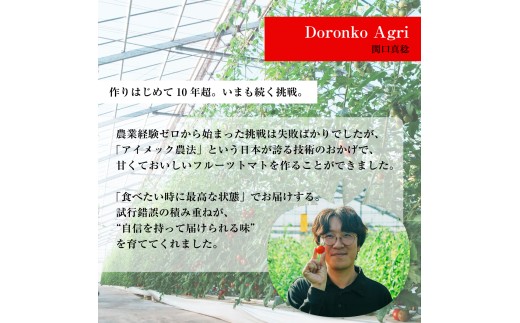 【12月から順次発送予定】フルーツトマト 糖度9度～11度 24粒 ポモ・ロッサ 化粧箱入り 先行予約 トマト 高糖度 ミニトマト プチトマト 完熟トマト とまと tomato 野菜 完熟 糖度 甘い 数量限定 期間限定 高級 ブランド 贈り物 プレゼント ギフト グルメ 産地直送 農家直送 完熟トマト お取り寄せ 贈答 ギフトボックス ポモロッサ 国産 人気 お歳暮 手土産 埼玉県 桶川市