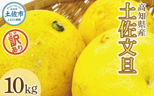 【文旦10kg】家庭用 高知 高知県 [土佐文旦 M〜5L]サイズ 株式会社とさもん 高知 土佐市 土佐 先行予約 期間限定 家庭用 訳あり 土佐文旦 高知 大玉 小玉 混合 柑橘系 果物 文旦 ぶんたん ブンタン フルーツ 柑橘類 数量限定 期間限定 季節限定 旬 常温 10kg 家庭用 土佐文旦 文旦 訳アリ 訳あり わけあり 高級 高級フルーツ 文たん ぶん旦 BQAE032
