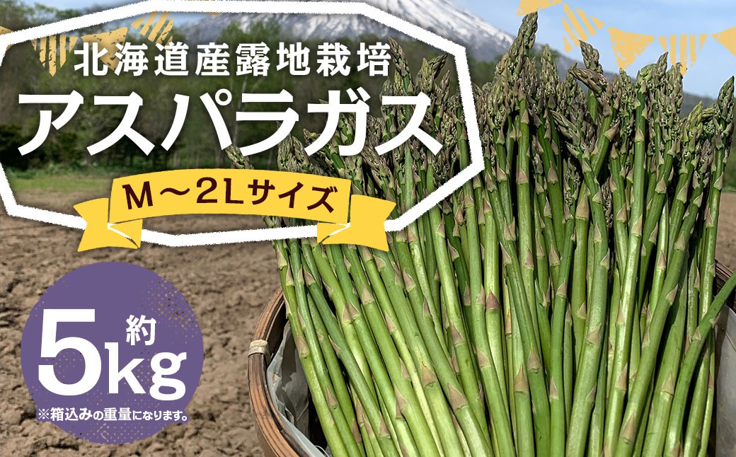 北海道産露地栽培アスパラガス M～2L 約5kg