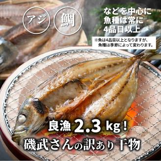 【父の日ギフト】良漁2.3kg!磯武さんの訳あり干物_2410R