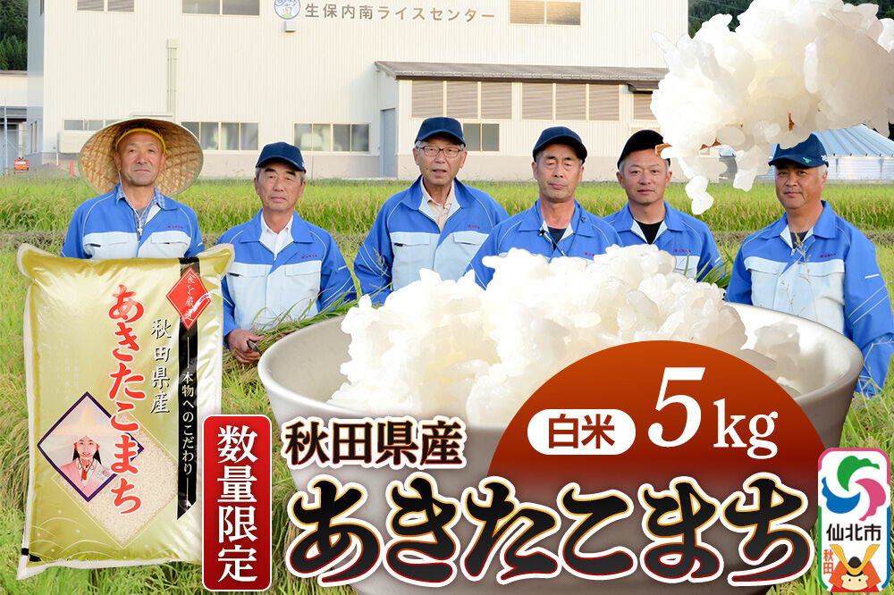 【白米】あきたこまち 5kg（5kg×1袋）精米  秋田県仙北市産 5キロ