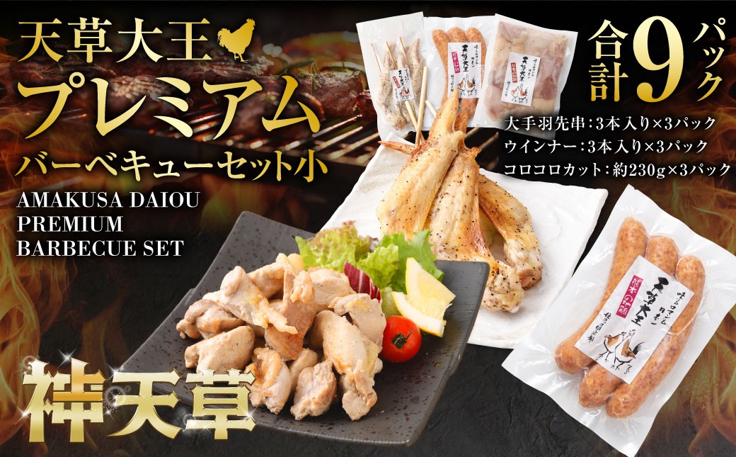 
                  ＜ R8年熊本地震復興支援 ＞天草大王プレミアムバーベキューセット（小） 計9パック 天草大王 焼鳥 手羽先 串 ウインナー コロコロカット
                