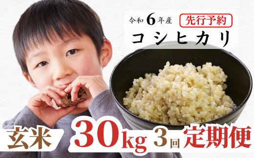 《令和6年産新米先行予約・9月ごろよりお届け開始》【3回定期便】玄米 30kg 令和6年産 コシヒカリ 岡山 あわくら源流米 K-ad-BDZA