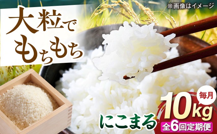 【全6回定期便】 にこまる 玄米品質1等米 白米 10kg 糸島市産 糸島市 / 糸島の恵み コメ こめ ご飯[AGR012]