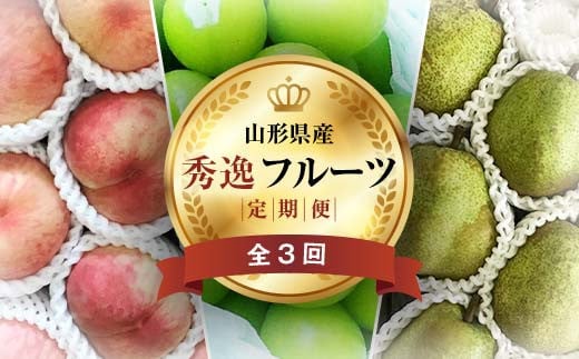 《2026年先行予約》 山形県 至高のフルーツ！ 山形県秀逸フルーツ定期便 全3回 FSY-2459