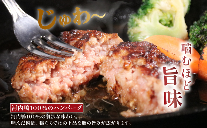 鴨ハンバーグ 15個 河内鴨 ハンバーグ 淡路島産 玉ねぎ 使用 鴨肉 冷凍ハンバーグ ギフト 大阪 大阪府 松原市 