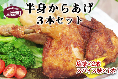 ＜半身からあげ3本セット(塩味×2本 スパイス味×1本)＞【 唐揚げ 鶏 とり 鶏肉 揚げ物 パーティー お祝い】翌月末迄に順次出荷