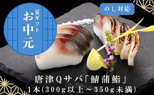 
            「お中元」生の新食感 唐津Qサバ「鯖蒲鮨」1本(300g以上～350g未満) さば 蒲鉾 かまぼこ おつまみ ギフト 鯖 サバ 唐津 Qサバ 鯖鮨 呼福 大志 水産 魚 海鮮 水産加工
          