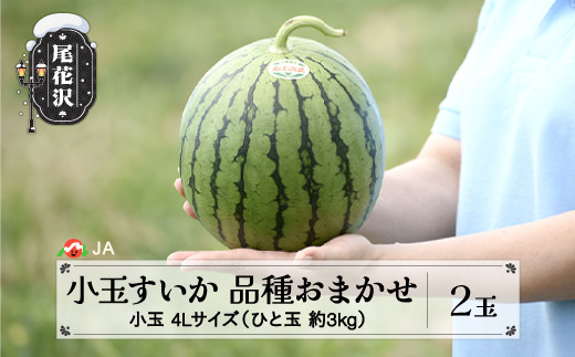 先行予約 尾花沢産小玉すいか 4Lサイズ 約3kg×2玉 7月中旬～7月下旬頃発送  品種おまかせ ひとりじめ もしくは ピノガール 2027年産 令和9年産 小玉 すいか スイカ 西瓜 果物 フルーツ 産地直送 山形県 尾花沢市 JA ja-suk4x2