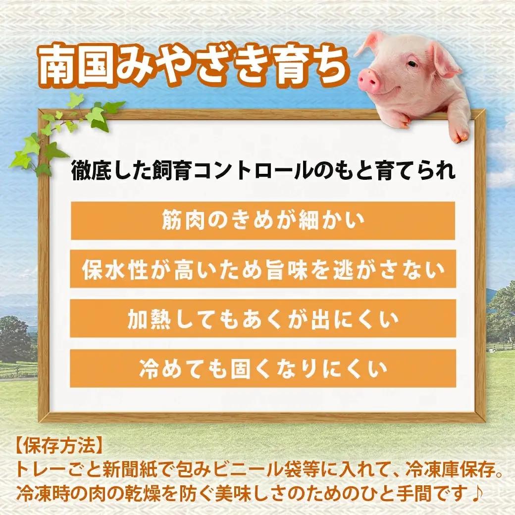 宮崎県産豚肉バラしゃぶしゃぶ用1.2kg〔12-M601〕_(都城市) 宮崎県産豚肉 バラしゃぶしゃぶ用 豚バラ肉