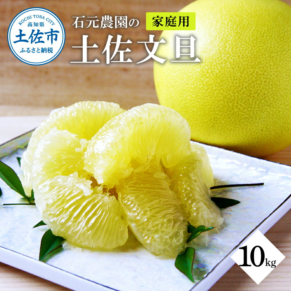 【ふるさと納税】石元農園の土佐文旦　家庭用　約10キロ（14～22玉） 期間限定 先行予約 土佐文旦 文旦 10kg ブンタン ぶんたん 果物 柑橘 フルーツ 高知県産 土佐市産 家庭用 傷 汚れ 美味しい おいしい ふるさとのうぜい 故郷納税 21000円 返礼品 高知