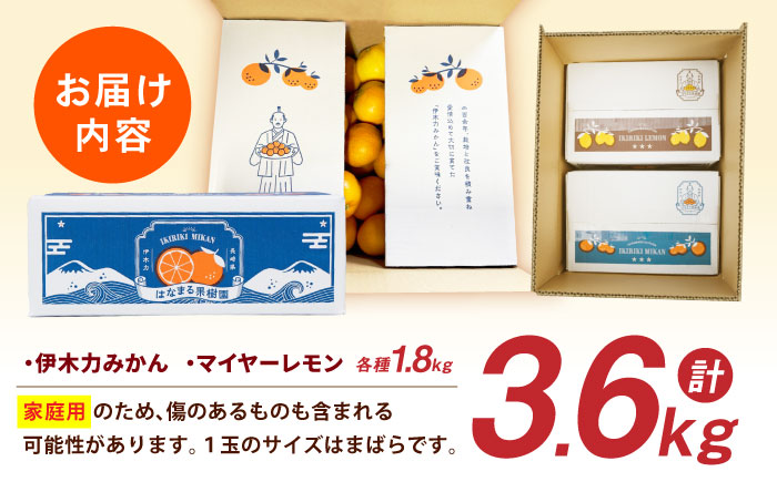 ※【2026年12月上旬より順次発送／先行予約】【大人気みかんとレモンのお試しセット】伊木力みかん(家庭用)1.8kg マイヤーレモン1.8kg 計3.6kg / みかん ミカン 蜜柑 mikan 柑