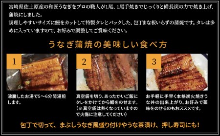 備長炭手焼き 宮崎市佐土原産 和匠うなぎの蒲焼カット10パックセット(計1kg) 山椒付き