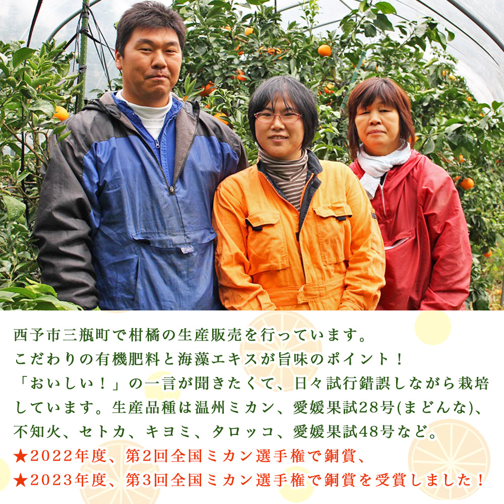 ＜とびっきりの愛媛 キヨミタンゴール 約2kg（家庭用大小混合）＞ 訳あり 家庭用 果物 柑橘 フルーツ みかん 蜜柑 オレンジ 清見タンゴール 特産品 片山果樹園 食べて応援 西宇和 愛媛県 西予市