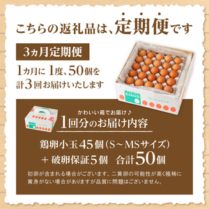 【3ヶ月定期便】水の恵み小卵　たまご S〜MSサイズ 45個 破卵保証5個 計50個 鶏卵 小玉 山梨県 北杜市産 卵