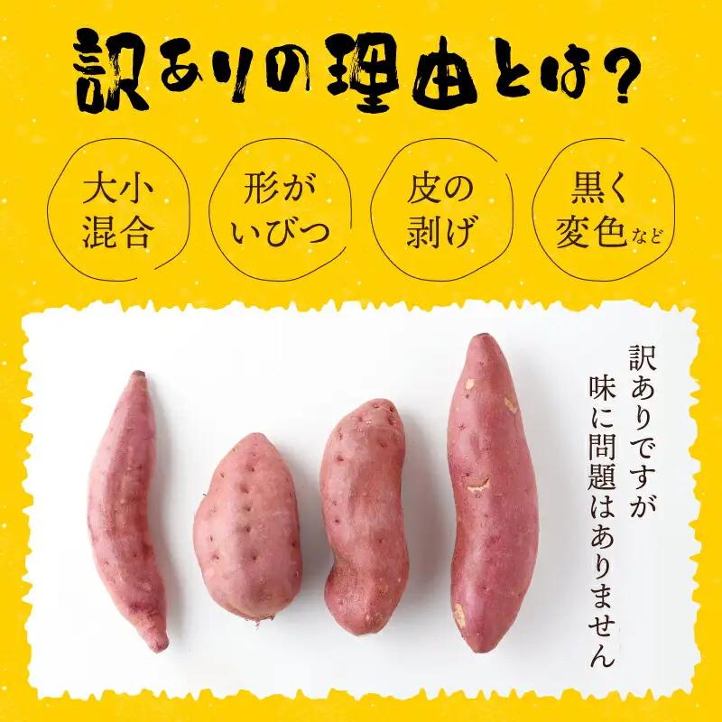 【令和９年１月お届け】西山きんとき芋（さつまいも） 訳あり 10kg ブランド芋 さつまいも サツマイモ さつま芋 焼き芋 やきいも ヤキイモ 野菜 大小混合 傷 故郷納税 送料無料