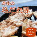 【ふるさと納税】トン’sキッチン 丹後の塩だれ豚焼き肉 750g （250g×3袋）　味付け 味付き肉 国産 豚肉 ぶたにく 焼肉 やきにく ヤキニク 小分け 個包装 冷凍 京都産 送料無料