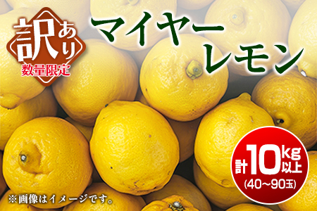 訳あり 数量限定 マイヤーレモン 10kg フルーツ 果物 柑橘 レモン 檸檬 みかん オレンジ 人気 おすすめ おすそ分け お土産 プレゼント お取り寄せ グルメ 国産 食品 デザート スイーツ おやつ ブランド 希少 特産品 産地直送 宮崎県 日南市 送料無料_BB130-23