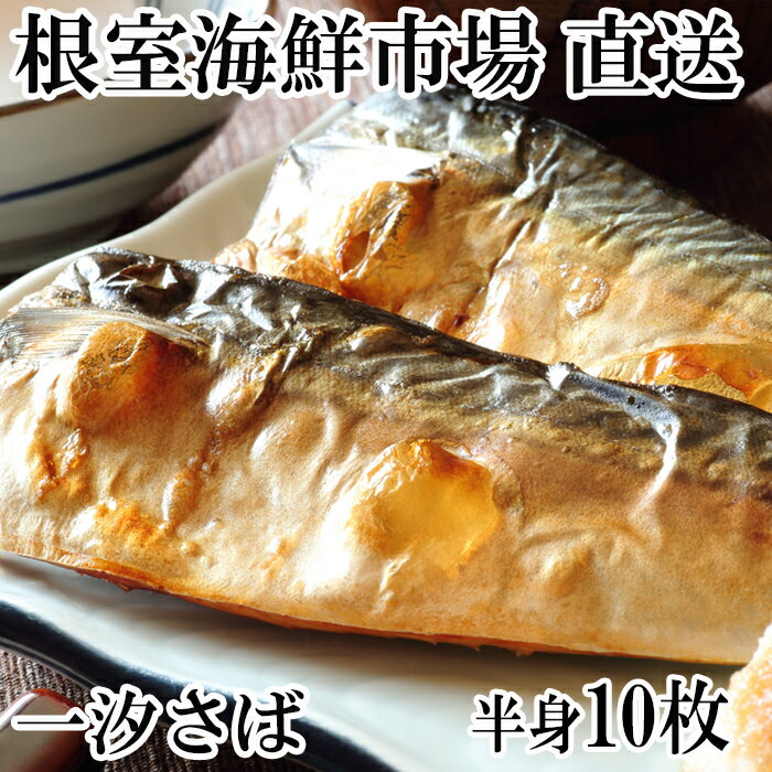 【ふるさと納税】 根室海鮮市場 ＜直送＞ 無添加天然サバフィーレ 10 枚 さば 鯖 魚 さかな サカナ お取り寄せ グルメ 海鮮 一汐さば 半身 焼き魚 おかず 北海道 根室市 ふるさと納税 G-28022
