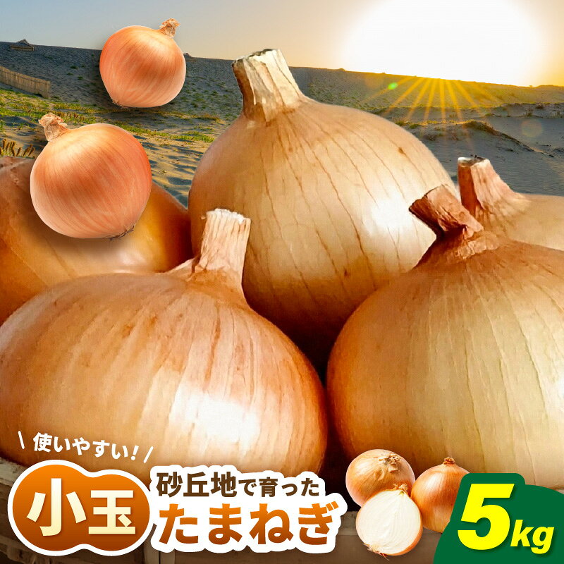 【ふるさと納税】福井県砂丘地育ち 甘みたっぷり 小玉玉ねぎ 5kg たまねぎ 玉ねぎ タマネギ 小玉 玉葱 オニオン スライス サラダ 野菜 スープ 肉じゃが 煮物 ハンバーグ すりおろし 甘い カレー 新鮮 産地直送