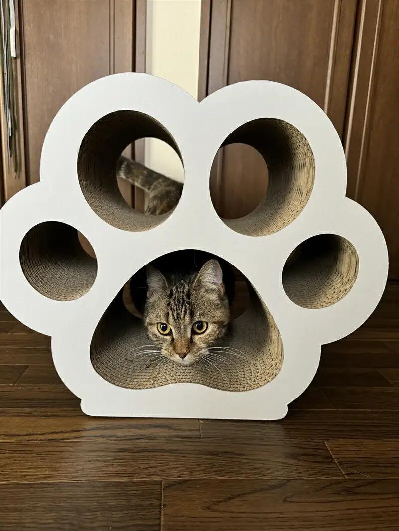 ねこの爪とぎ　にくきゅうCT　カラー；ホワイト【 ペット用品 爪とぎ 神奈川県 小田原市  ペット ペット】