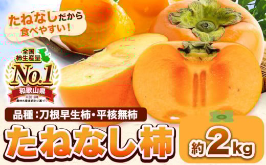 たねなし柿（刀根早生柿・平核無柿）約2kg《2025年9月中旬-11月上旬頃出荷(土日祝除く)》 和歌山県 岩出市 種なし柿 柿 果物 フルーツ 2L～Mサイズ カキ 
