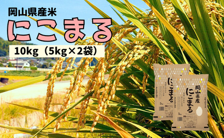 【令和7年産】岡山県産米 にこまる 10kg 5kg×2袋 【先行予約 2025年11月上旬から順次発送】