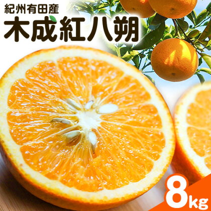 【先行予約】紀州和歌山産 木成紅八朔 8kg 株式会社魚鶴商店(大鶴商店)《2月下旬-3月中旬頃出荷》和歌山県 日高町 紀州和歌山産 木成紅八朔 はっさく ハッサク 八朔 紅八朔 柑橘 果物 フルーツ