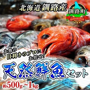 お魚の目利きのプロにお任せ!北海道産 天然鮮魚 約500g～1kg_産地直送 冷蔵 冷蔵便 刺身 セット 鮮魚セット 鮮魚ボックス 魚介類 海鮮 絶品 人気 ヒロセ 北海道 釧路町 釧路超 特産品 _【配送不可地域：離島・沖縄県・信越、北陸・東海・近畿・中国・四国・九州】【1285921】
