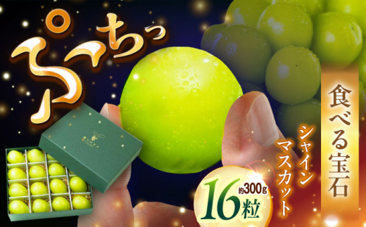 フルーツ	【2026年先行予約】【25個限定】贈り物におすすめ！シャインマスカット ジュエリーBOX 16粒(約300g) マスカット ぶどう 葡萄 皮ごと 種なし 果物 産直 産地直送 旬 限定 先行予約 高級 ギフト 贈答 贈り物 プレミアム  ジュエリーBOX 大粒 甘い デザート スイーツ 雲南 絶品 フルーツ ご当地 人気 おすすめ島根県雲南市/ギアファーム [AIAB009]