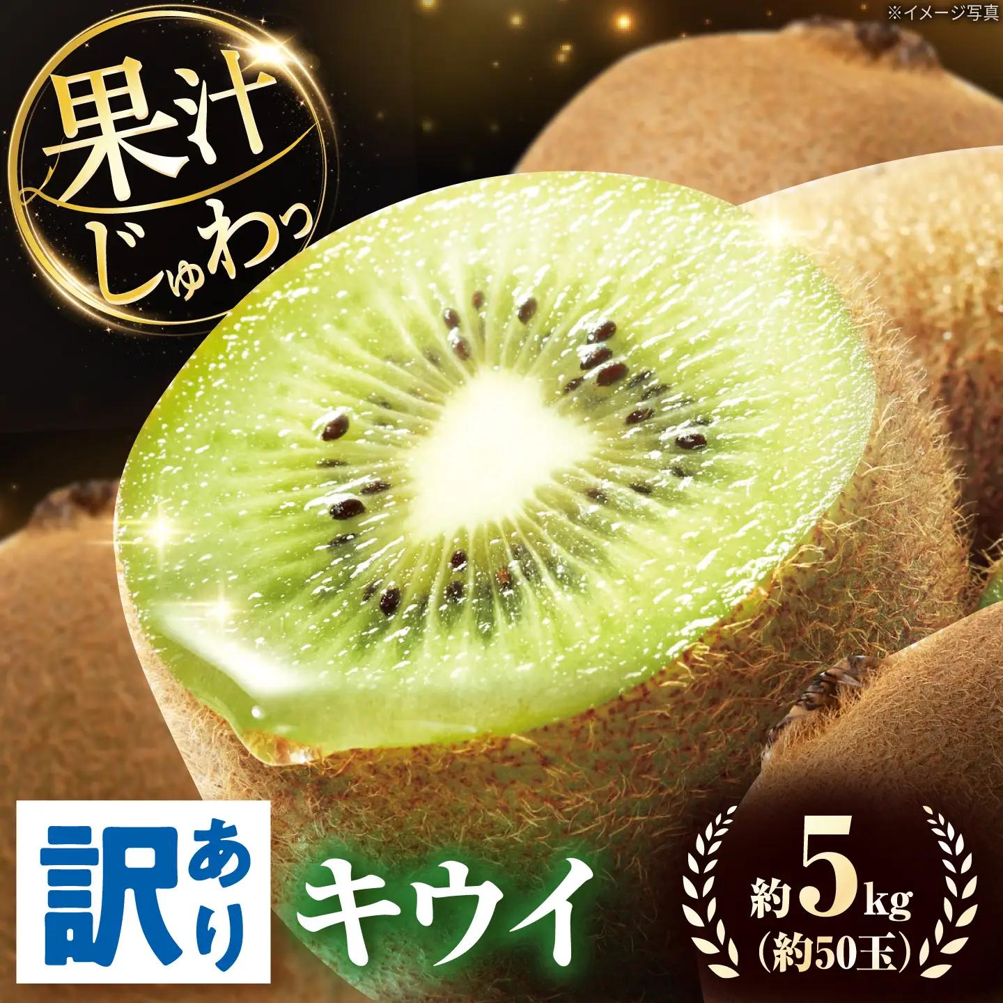 キウイ 訳あり キウイフルーツ ヘイワード サイズ不揃い 約5kg 50個前後 / フルーツ 果物 キウイフルーツ キウイ キューイ キゥイ キュウイ 甘い 先行予約 5kg 愛媛 / 愛媛県砥部町/株式会社電子食品流通研究所[BJBL006]