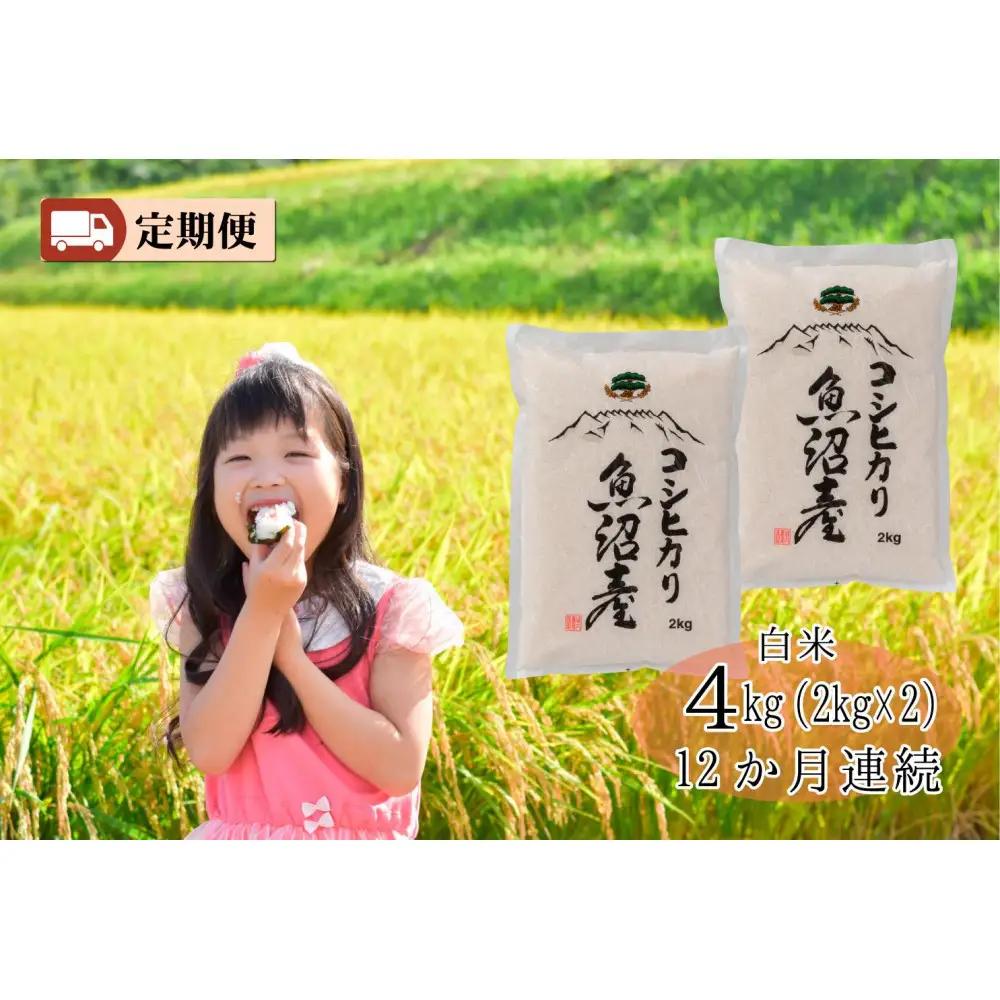 【令和８年新米予約】城内農産 【お米定期便/全１２回】南魚沼産コシヒカリ　白米４kg（２ｋｇ×２）＜5割減農薬栽培米＞｜定期便【2026年9月下旬から1ヶ月以内に順次発送予定】