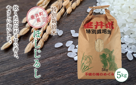 ≪令和7年産≫【特別栽培米】垂井町産 ほしじるし（精米） 5kg｜お米 白米 ご飯 ライス 産地直送 ギフト 贈答用 プレゼント 岐阜県産