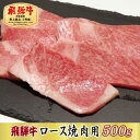 【ふるさと納税】【最高級A5等級】飛騨牛ロース焼肉用500g(牛脂付き)【配送不可地域：離島】【1488954】