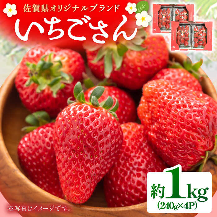 【ふるさと納税】【みずみずしく、やさしい味わい】いちごさん 約1kg（240g×4パック） / 苺 イチゴ いちご フルーツ 果物 / 佐賀県 / さが風土館季楽 [41AABE102]