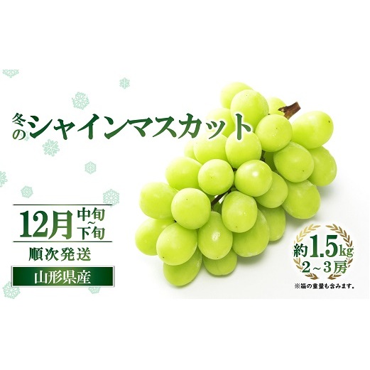 【令和7年産先行予約】 JA 冬のシャインマスカット 約1.5kg (2～3房 秀) 《令和7年12月中旬～下旬発送》 『JA山形おきたま』 山形県 南陽市 [2055]