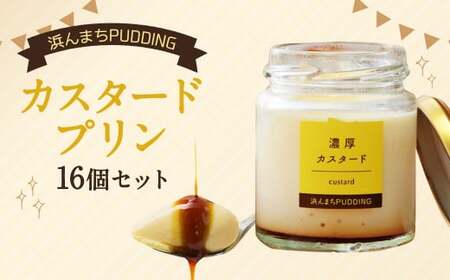 【2026年5月発送】カスタードプリン 80g×16個 セット 浜んまちPUDDING