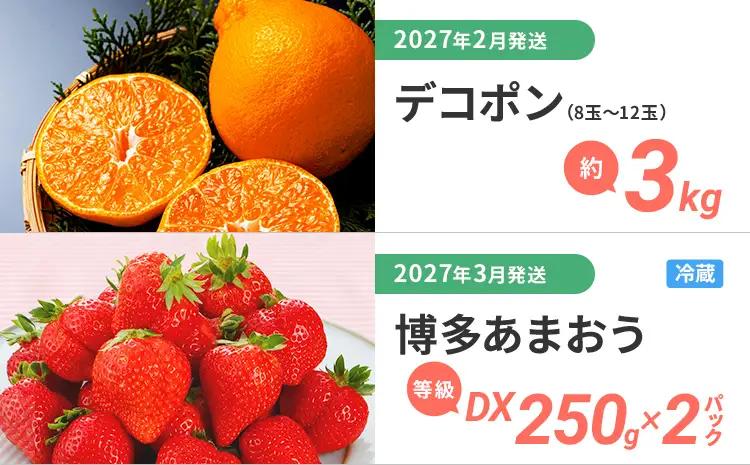 定期便 果物定期便A 4回発送 みかん 山見阪ネーブル デコポン 博多あまおう 定期発送 果物 くだもの フルーツ 柑橘 イチゴ 送料無料 【2026年12月～2027年3月発送】