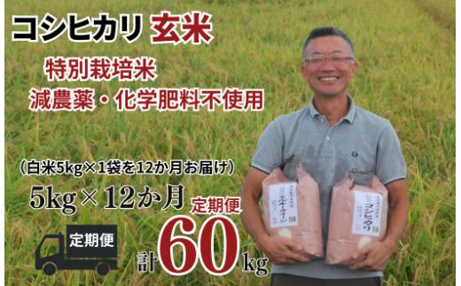 玄米【コシヒカリ 定期便 玄米 5kg✕12か月連続 松原グリーンファーム】 特別栽培米 コシヒカリ 玄米 5kg （5kg×1袋） 12か月  合計 60kg  令和8年産 2026年産 小分け 単一米  減農薬 化学肥料不使用 埼玉県認証 埼玉県 川島町