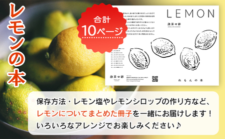 【先行予約】＜無茶々園のレモン 約3kg＋レモンの本＞ フルーツ 果物 くだもの れもん 檸檬 柑橘 香酸柑橘 国産 無茶々園 特産品 愛媛県 西予市【常温】『2027年1月～3月までに順次出荷予定』