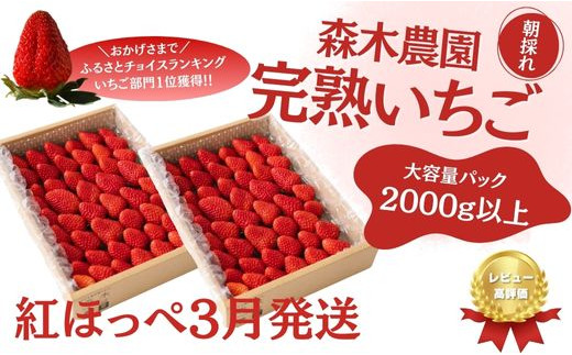 
060-21 【3月発送】《土耕栽培だから濃くて甘い》紅ほっぺ合計2000ｇ以上！
