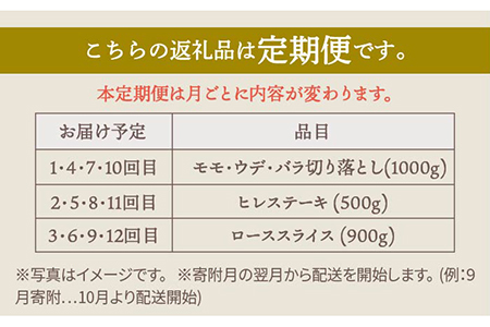 【肉のプロが厳選！】【全12回】佐賀県産和牛 極上定期便【株式会社いろは精肉店】 [IAG073]