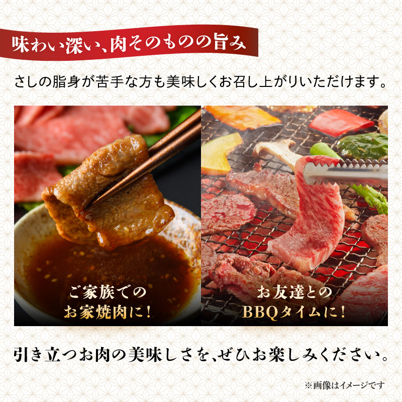 【A4～A5】博多和牛赤身モモ焼肉用 500g 博多和牛 焼肉 BBQ 赤身 モモ 肉 和牛 国産 牛肉 牛 A4 A5 福岡県 八女市