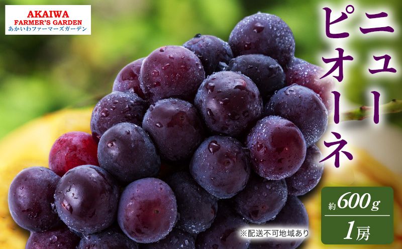 ぶどう 2026年 先行予約 ニューピオーネ 約600g 1房 葡萄 岡山県 赤磐市産 フルーツ 果物 あかいわファーマーズガーデン