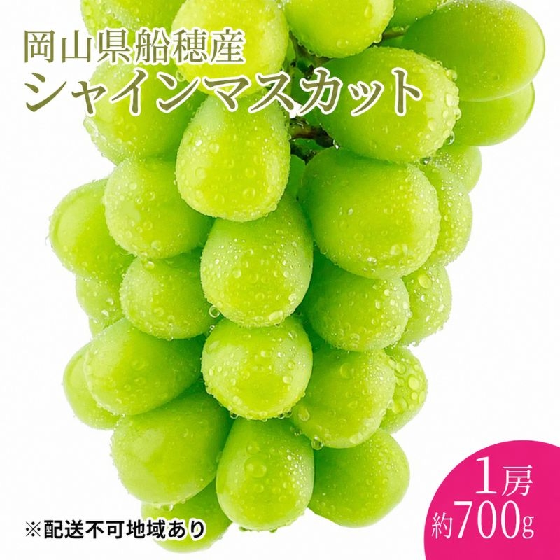 
                  [№5615-1001]ぶどう 2026年 先行予約 【プレミアムシャインマスカット 晴王 1房 約700g】 赤秀品以上  岡山県船穂産 葡萄 ブドウ ギフト ハレノフルーツ 皮ごと食べる みずみずしい
                