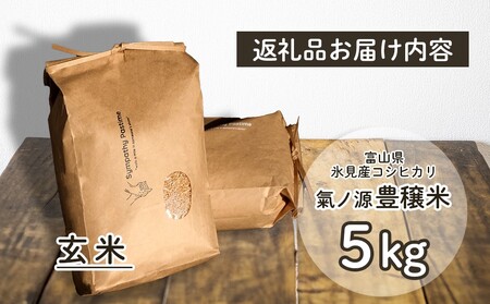 ＜先行予約＞お米自慢コンクール優秀賞！  令和6年産 富山県産コシヒカリ 玄米 5kg ＜10月下旬以降順次発送＞ 富山県 氷見市 こしひかり R6