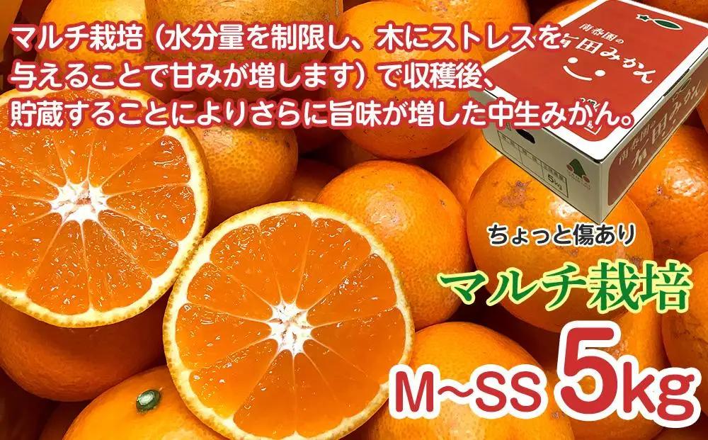 定期便 ちょっと 傷あり 5kg ×3 回 コース 有田みかん 食べくらべ 3種 全3回 南泰園 みかん