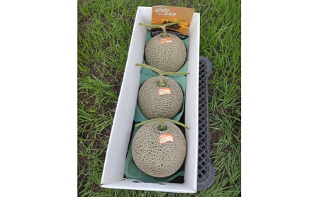 【2024年7月～発送】北海道 富良野市 ふらの赤肉 メロン 2kg×3玉 (中島農園) メロン フルーツ 果物 新鮮 甘い 贈り物 ギフト 道産 ジューシー おやつ ふらの ブランド 夏 