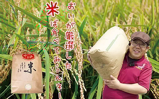 
            【先行予約】令和7年産 佐賀市三瀬村産「コシヒカリ」20kg（5kg×4袋）：B630-003
          