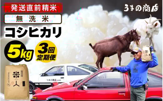 【先行予約】【令和7年産・新米】定期便≪3ヶ月連続お届け≫米 コシヒカリ 5kg × 3回定期便【無洗米】【2025年9月中旬以降順次発送予定】 [m25-c002_02]